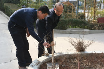 电子pg下载入口