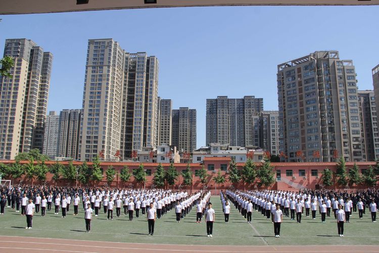 电子pg下载入口