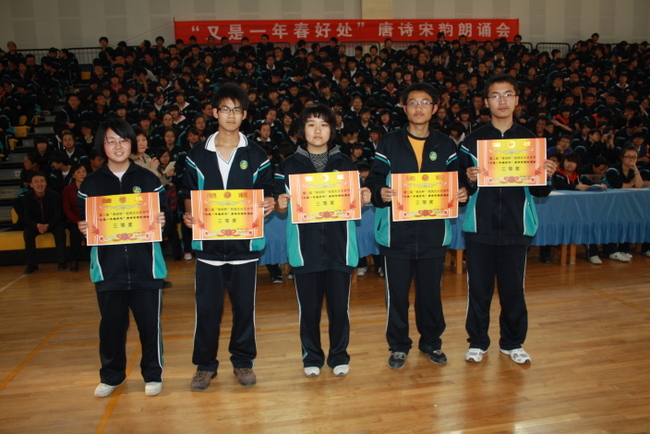 电子pg下载入口