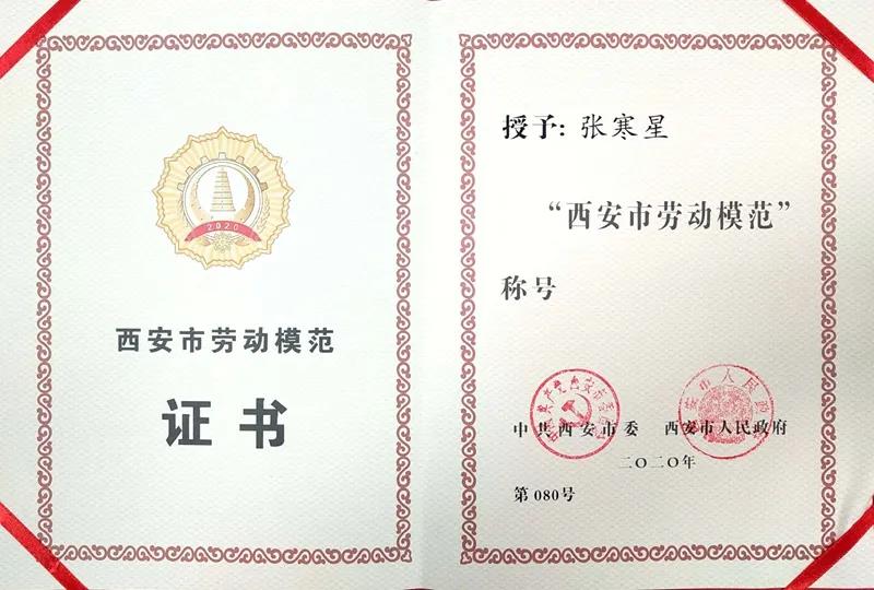 电子pg下载入口