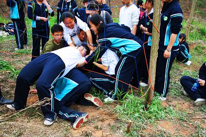 电子pg下载入口