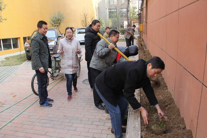 电子pg下载入口