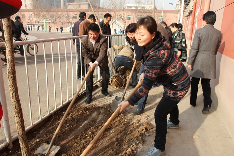 电子pg下载入口