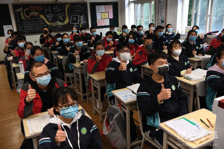 电子pg下载入口