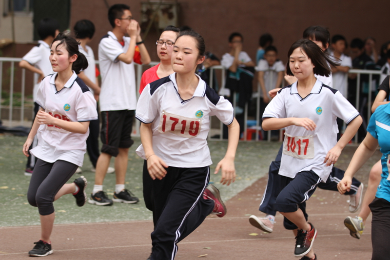 电子pg下载入口
