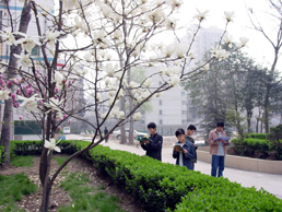 电子pg下载入口