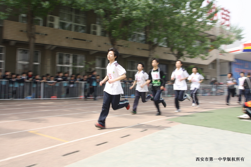 电子pg下载入口