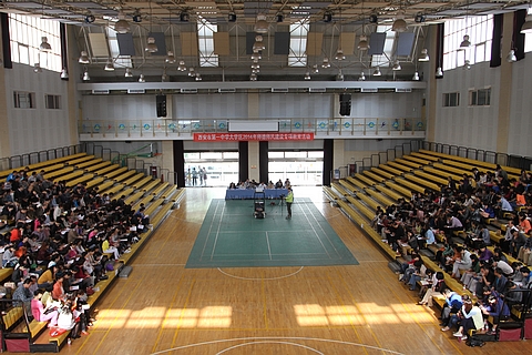 电子pg下载入口