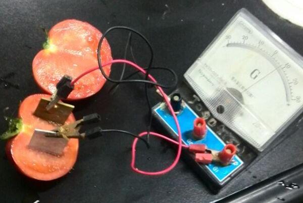 电子pg下载入口