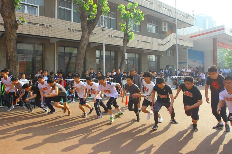 电子pg下载入口