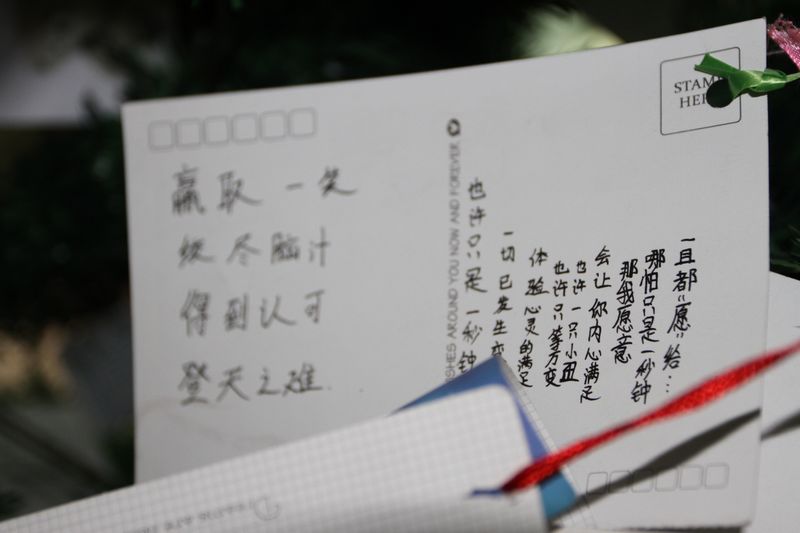 电子pg下载入口
