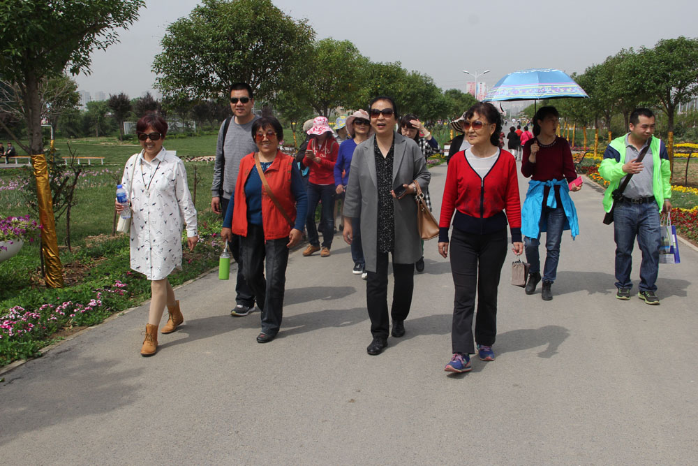 电子pg下载入口