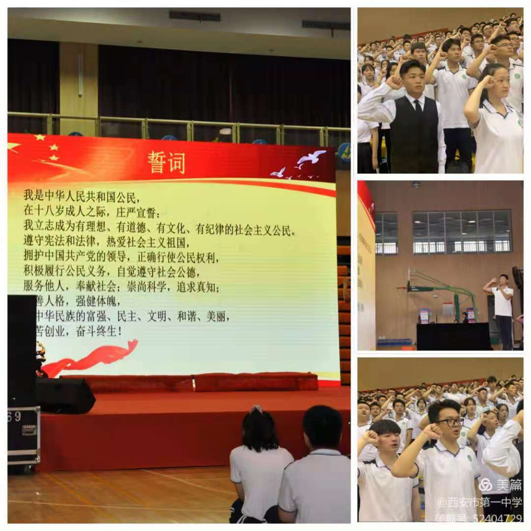 电子pg下载入口