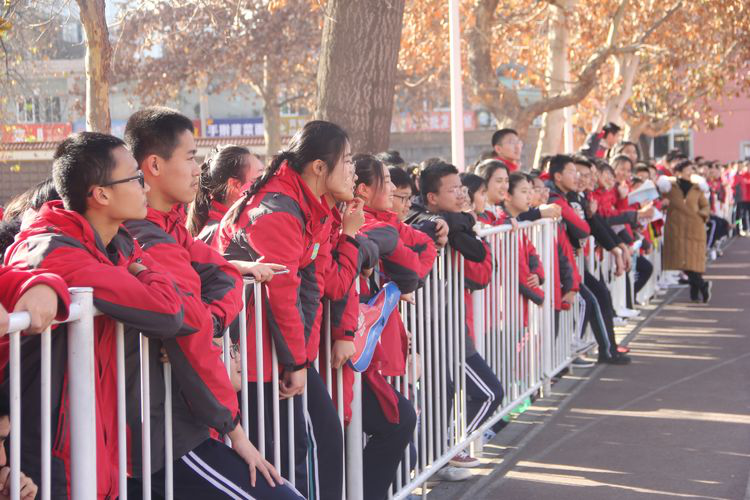 电子pg下载入口