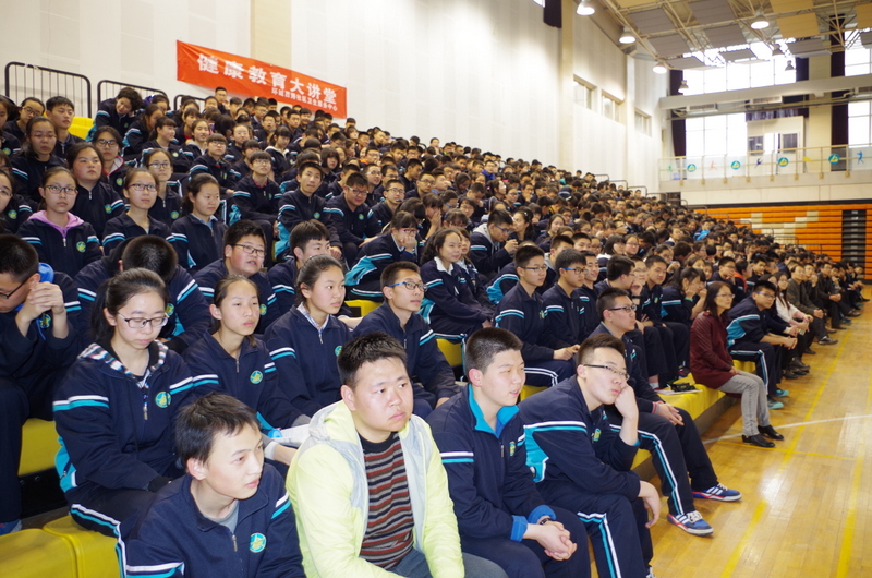 电子pg下载入口