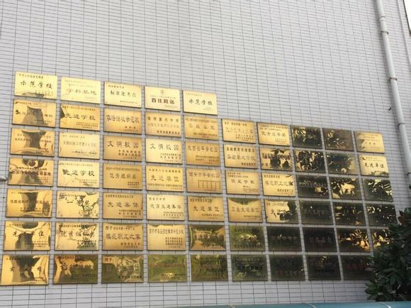 电子pg下载入口