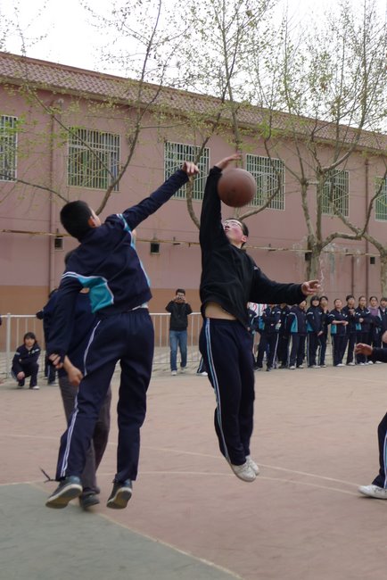 电子pg下载入口