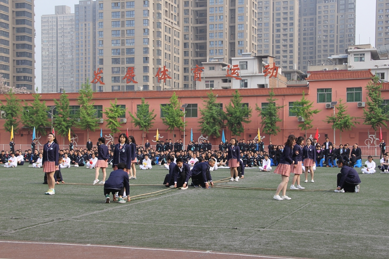 电子pg下载入口