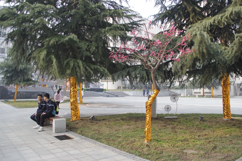 电子pg下载入口