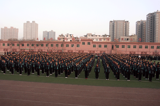 电子pg下载入口