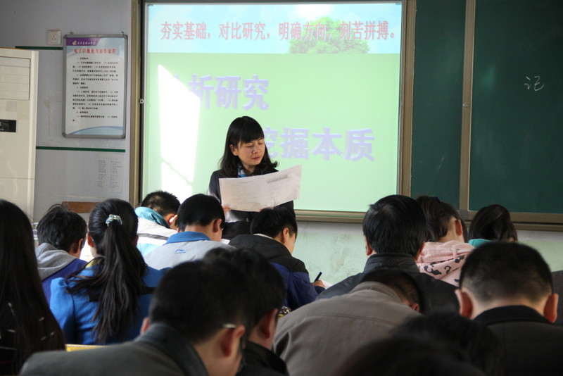 电子pg下载入口