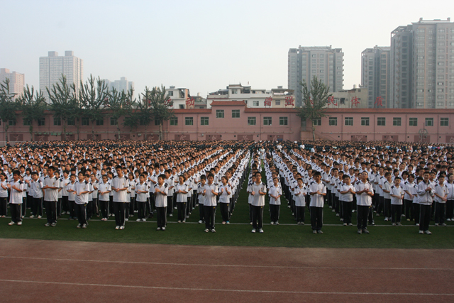 电子pg下载入口