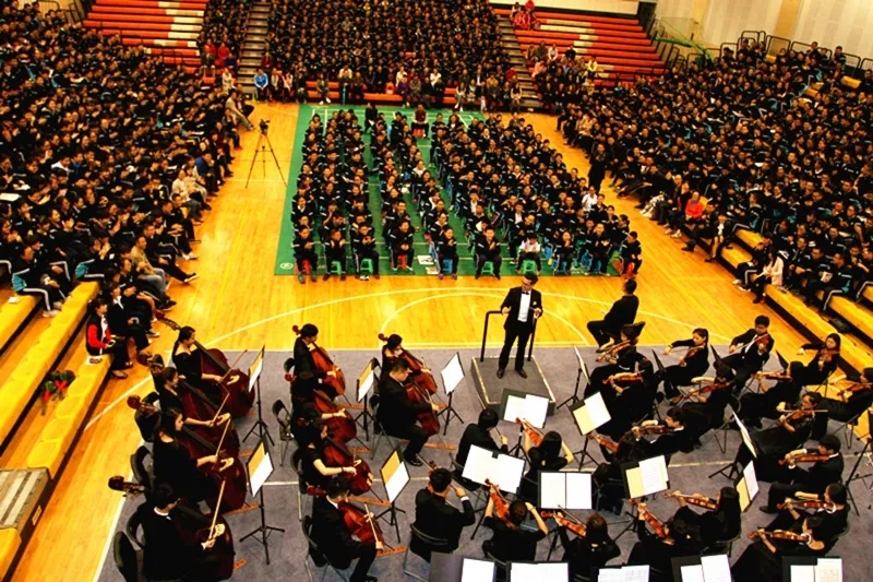 电子pg下载入口