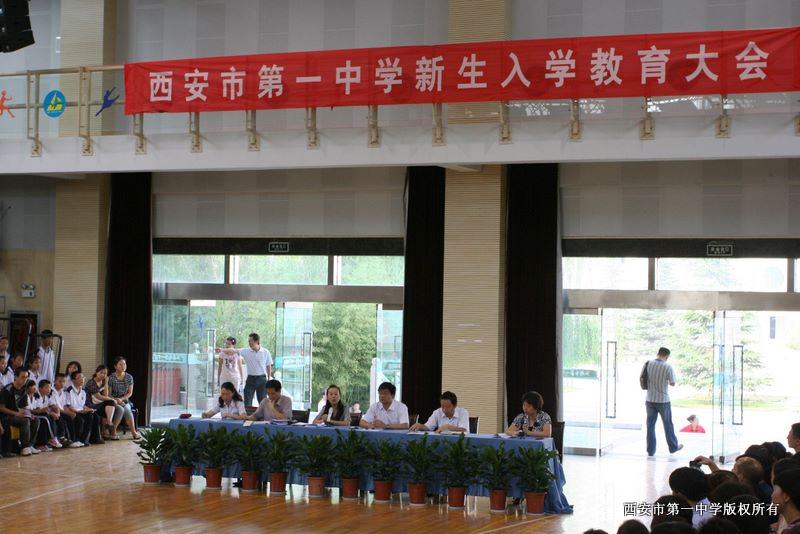 电子pg下载入口