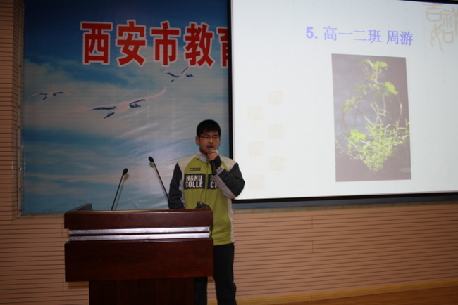 电子pg下载入口