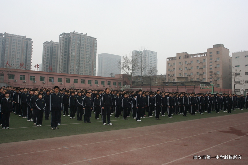 电子pg下载入口