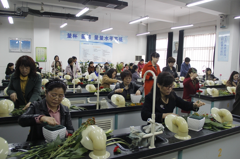 电子pg下载入口