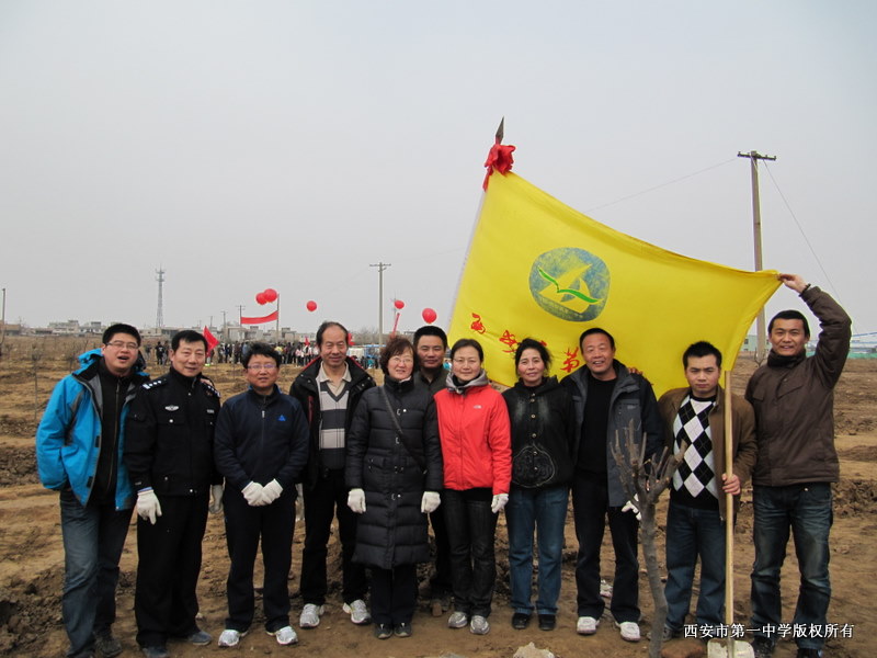 电子pg下载入口