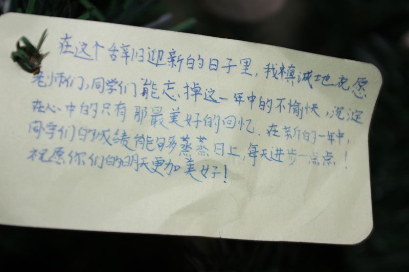 电子pg下载入口