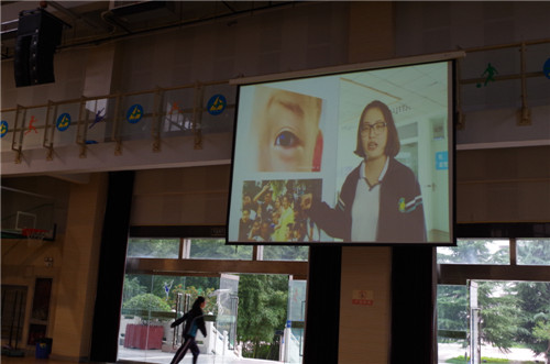 电子pg下载入口