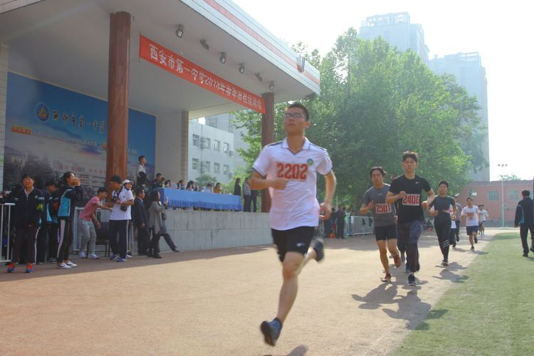 电子pg下载入口