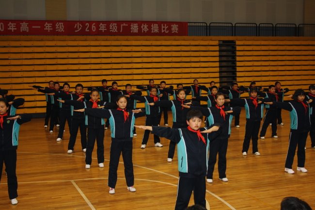 电子pg下载入口