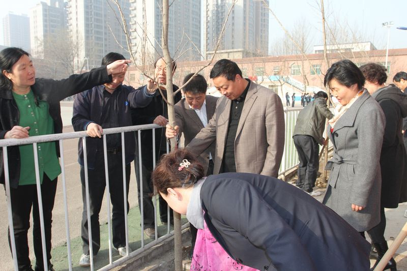 电子pg下载入口