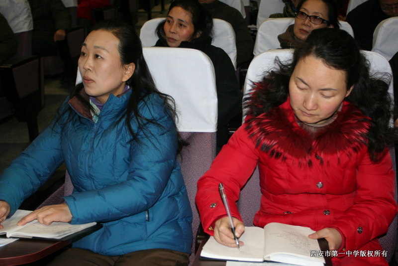 电子pg下载入口