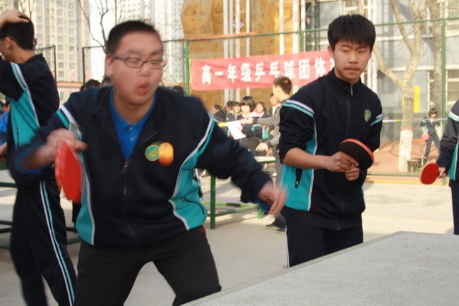 电子pg下载入口