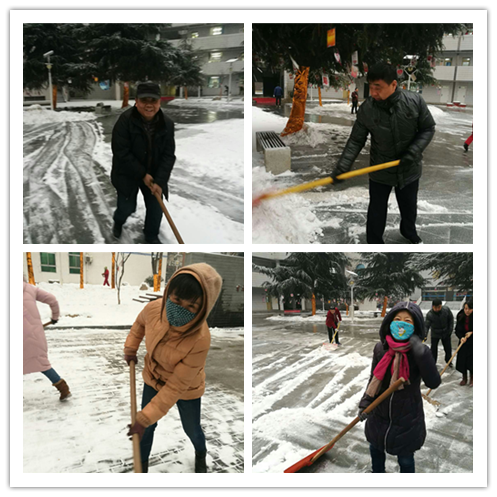 电子pg下载入口