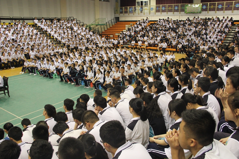 电子pg下载入口