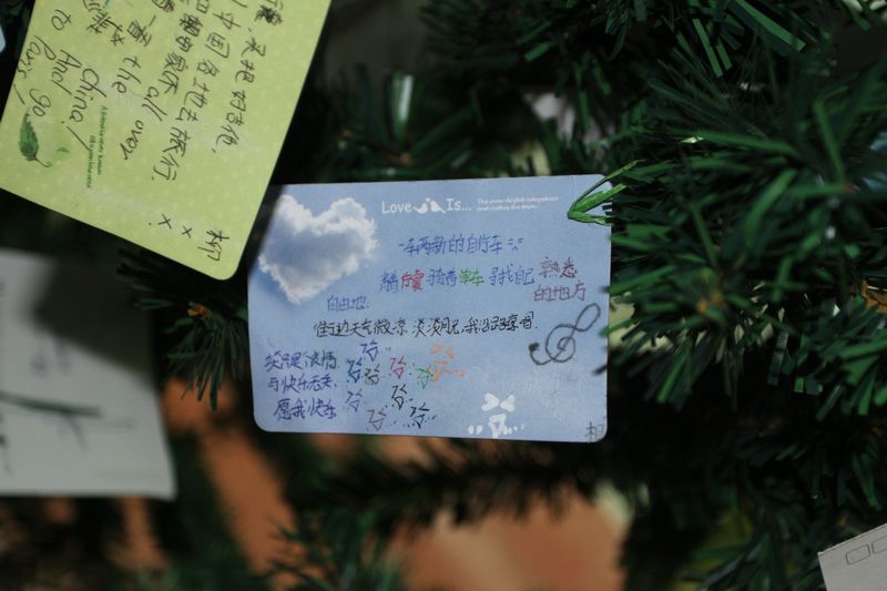 电子pg下载入口