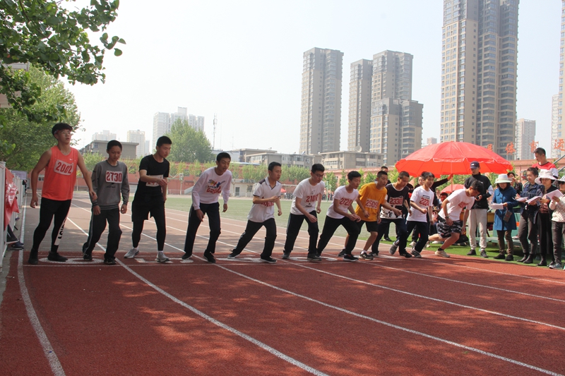 电子pg下载入口