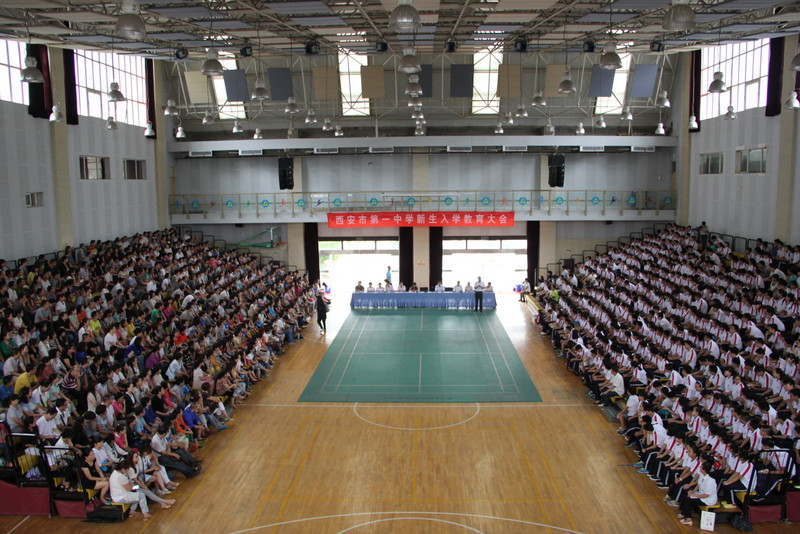 电子pg下载入口