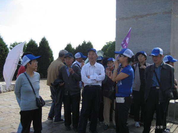 电子pg下载入口