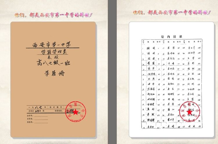 电子pg下载入口