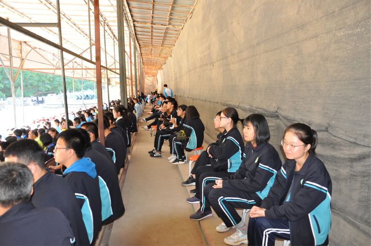 电子pg下载入口