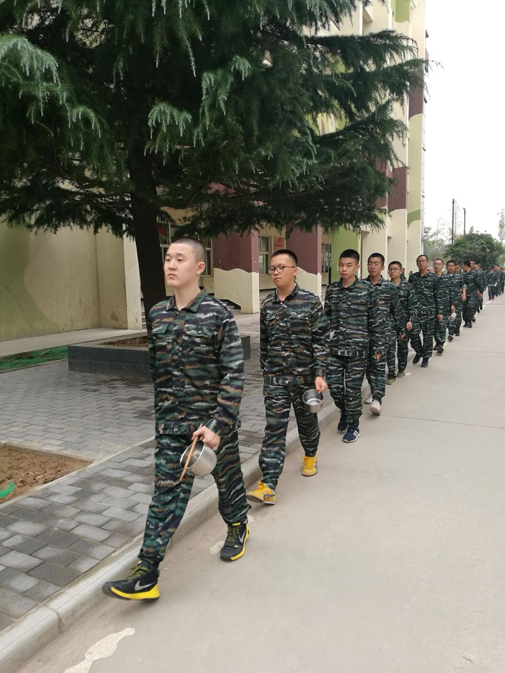 电子pg下载入口