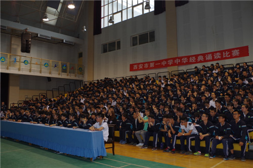 电子pg下载入口