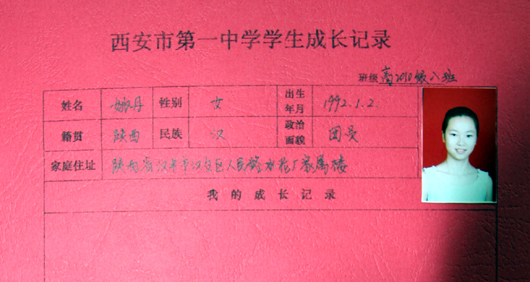 电子pg下载入口